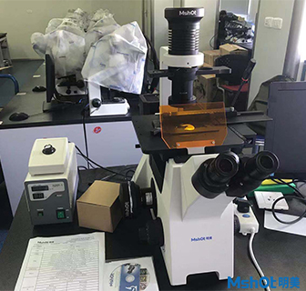 明美倒置熒光顯微鏡助力華中科技大學(xué)活細胞檢測
