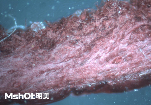 皮革質(zhì)量和真假鑒定，要用什么顯微鏡？