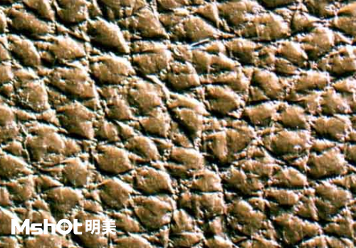 皮革質(zhì)量和真假鑒定，要用什么顯微鏡？