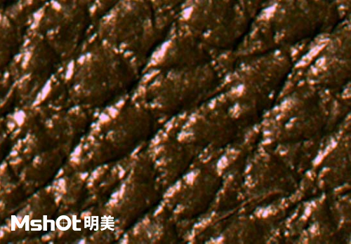 皮革質(zhì)量和真假鑒定，要用什么顯微鏡？