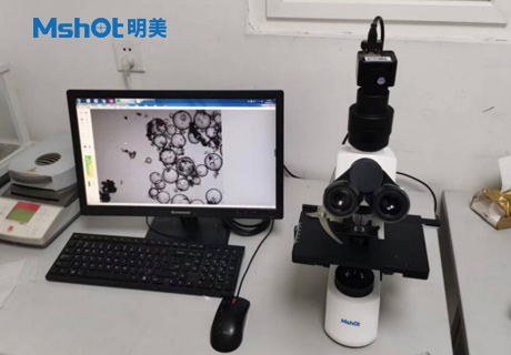 石墨烯用什么顯微鏡觀察？