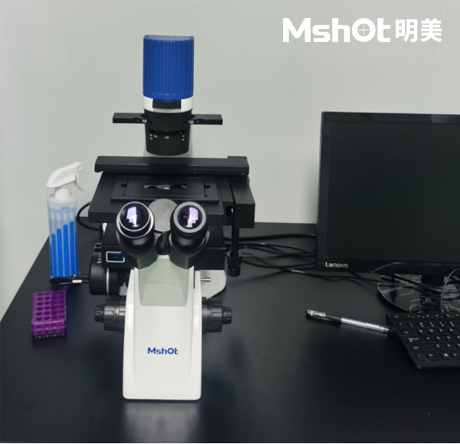 斑馬魚化妝品方向可以用什么顯微鏡觀察呢？